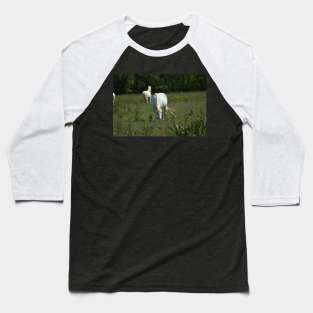 Wild Horse Baseball T-Shirt